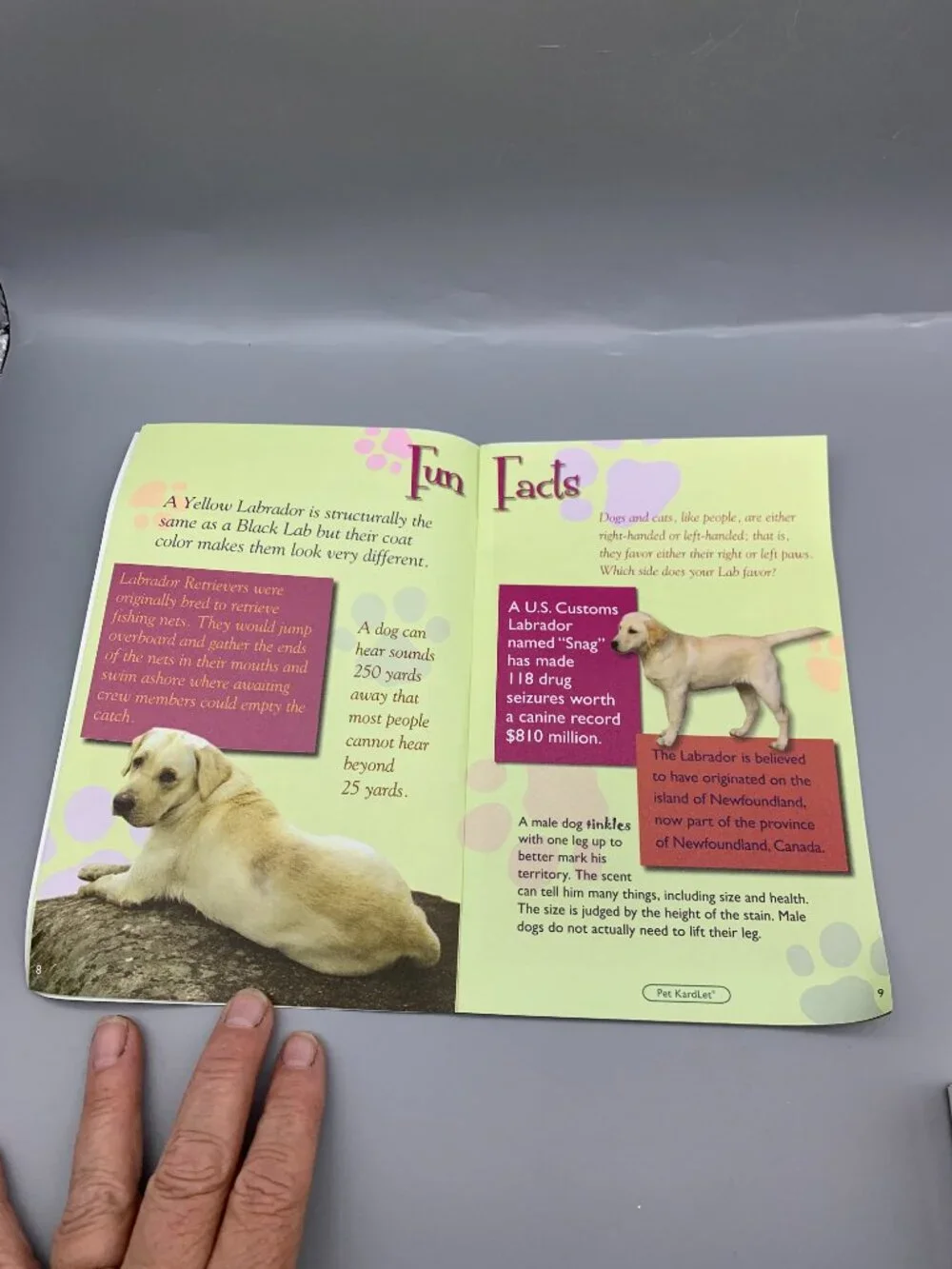 NEW Box Lang Lab Note Cards with Envelopes and Yellow Lab Book
